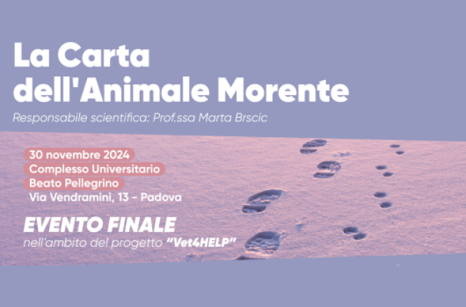 Collegamento a La Carta dell'Animale Morente